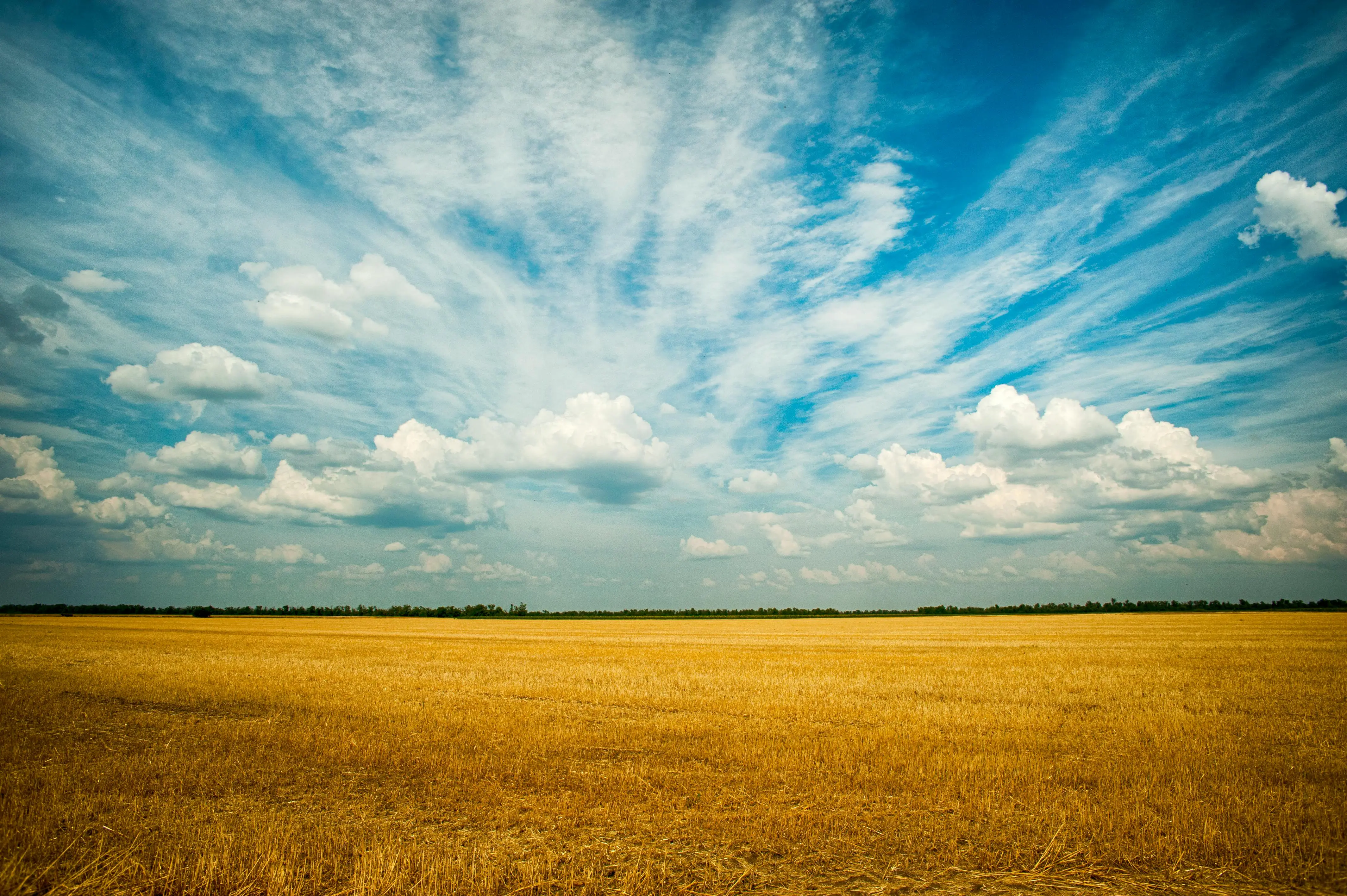 Expansive golden farmland under a vibrant blue sky with scattered white clouds on the horizon.